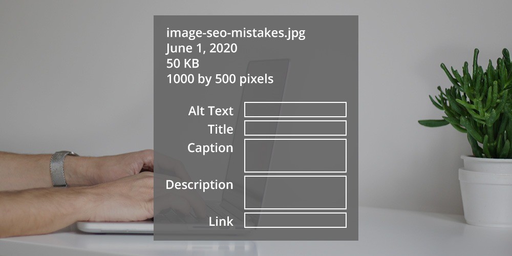 WordPress Picture search engine marketing Errors & Learn how to Repair Them