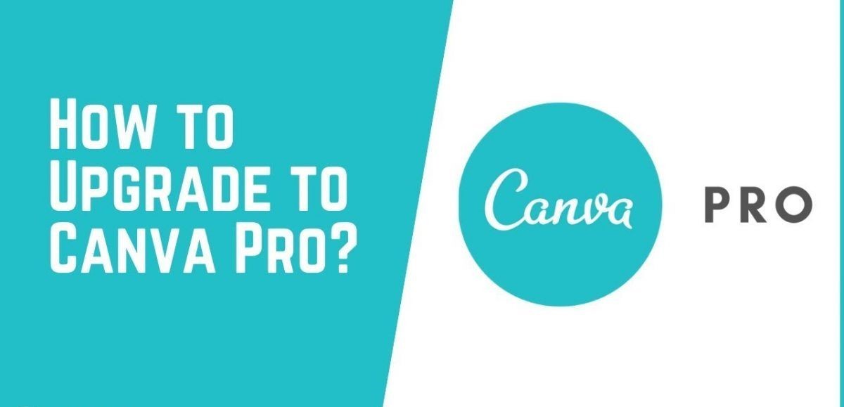 Canva Premium For Lifetime Through Canva for Education