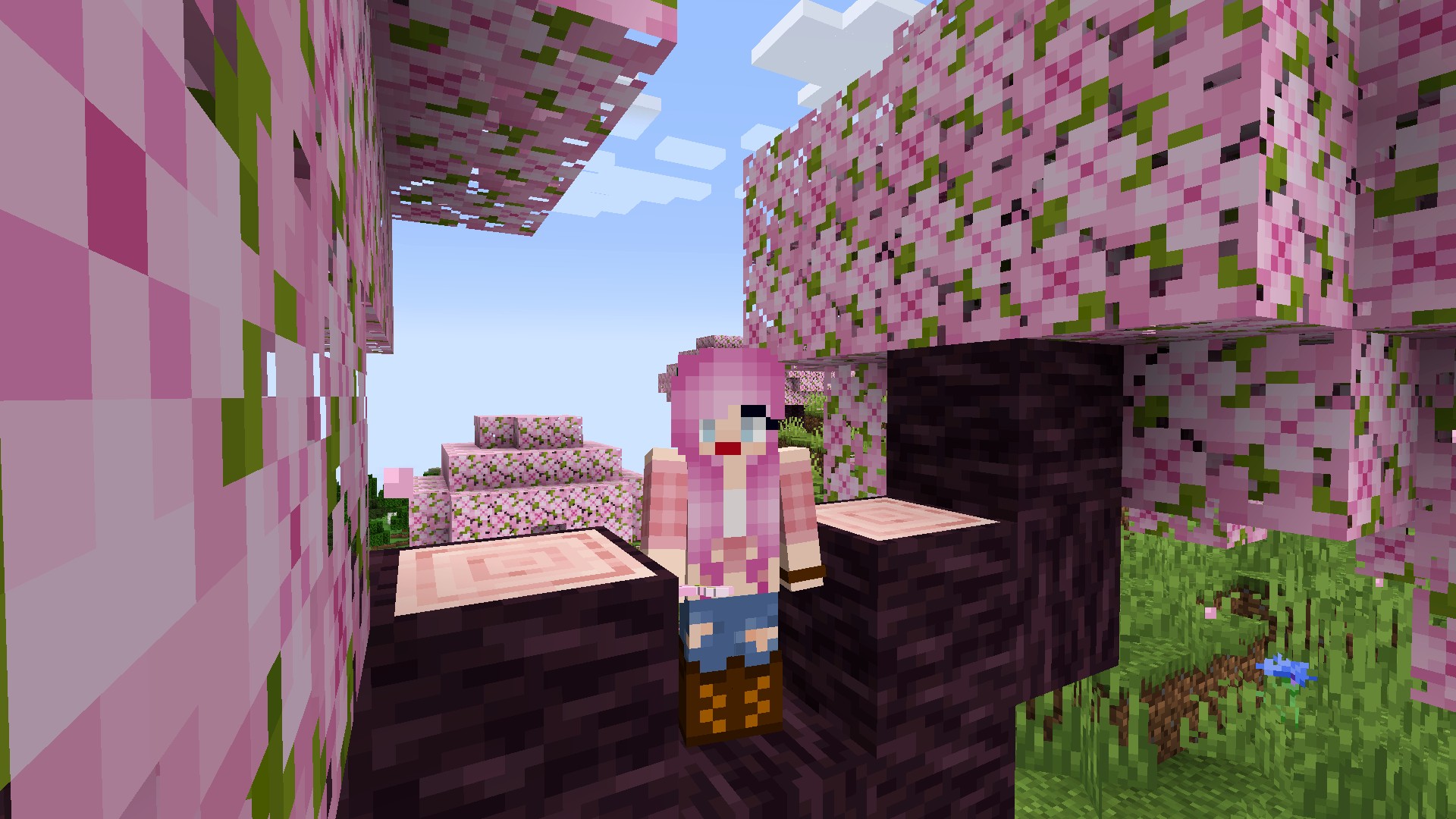 Minecraft cherry blossom biome, timber, and the right way to play snapshot 23w07a
