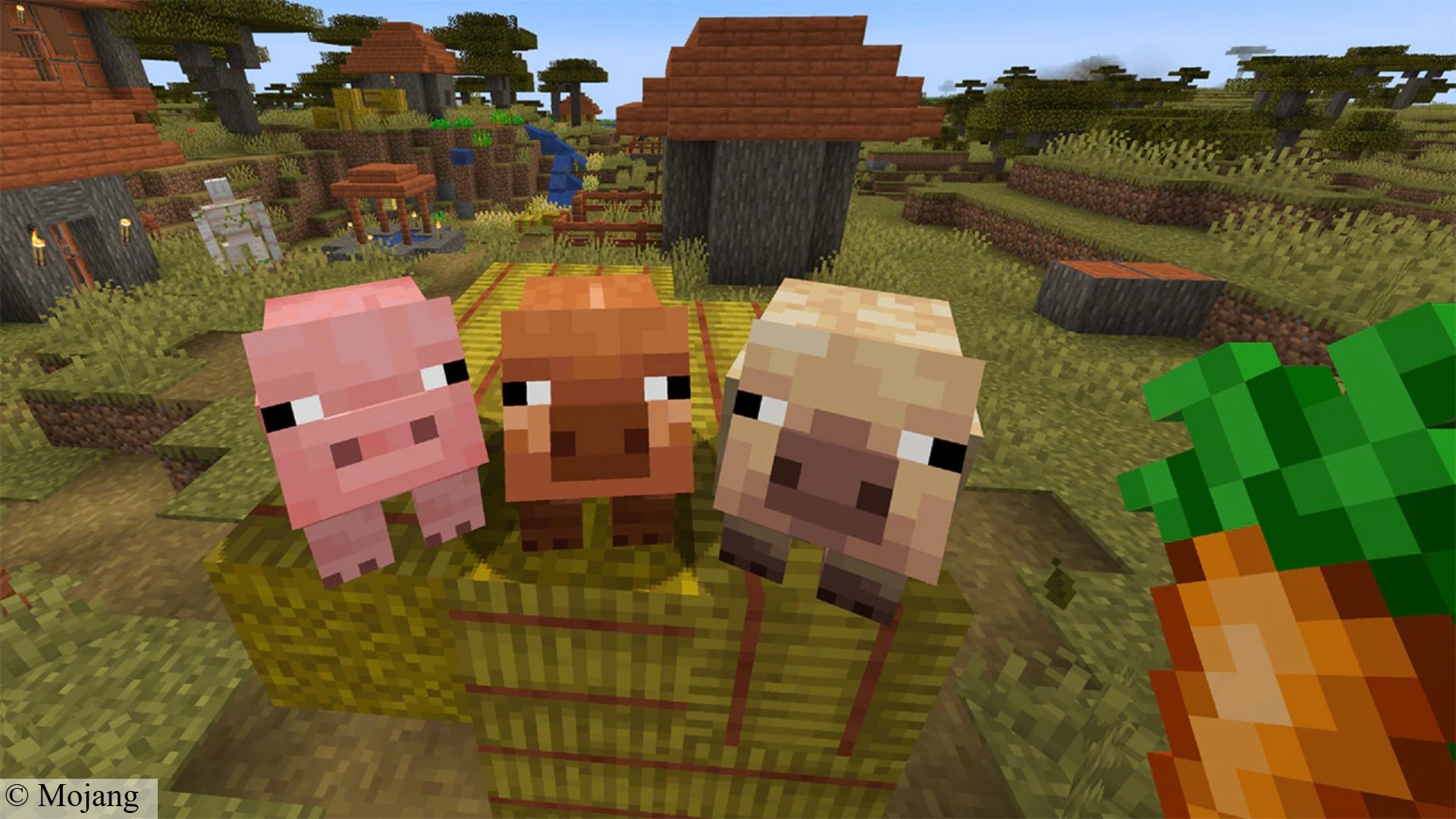 Minecraft new pigs: Three pigs from Mojang building game Minecraft